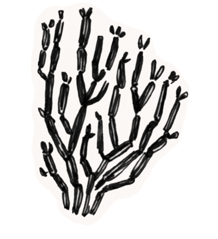 Hotel Figueroa Sticker