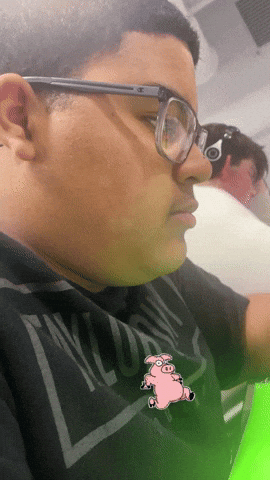 Pig Seal GIF