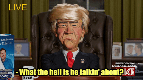 Giphy - Donald Trump What GIF by Jeff Dunham