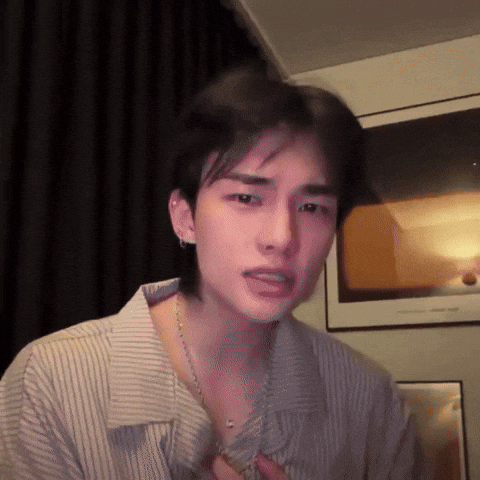 Stray Kids Skz GIF