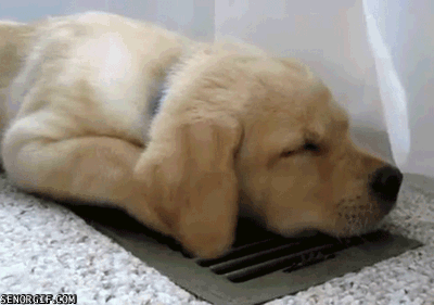 Resting Air Conditioning GIF by Cheezburger - Find & Share on GIPHY
