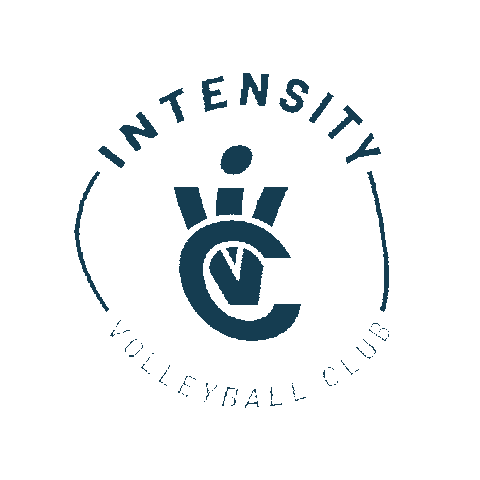 iVC Volleyball Sticker