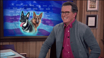 Stephen Colbert Dogs GIF by The Late Show With Stephen Colbert