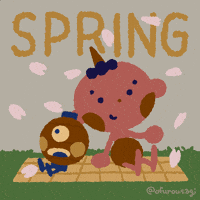 Cherry Blossom Illustration GIF