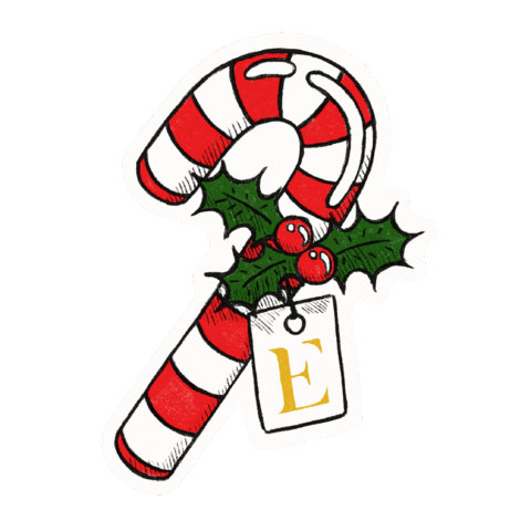 EdgardOpticiens Sticker