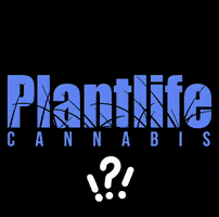 GIF by Plantlife