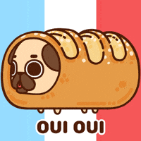 France Dog GIF by Puglie Pug