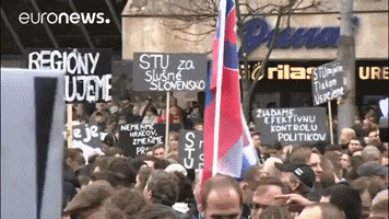 demonstration GIF by euronews