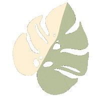 Monstera Deliciosa Plant Sticker