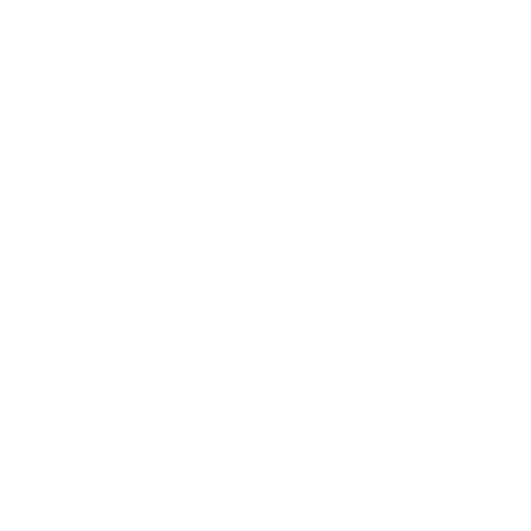 Insano Army Sticker