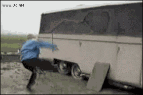 przestraszony kogut GIF