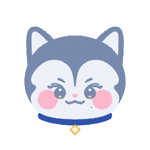 Seventeen Sticker