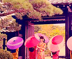 200.gif?cid=fc005b0868396c1086b93f8fbb71cd120461d72892720f52&rid=200.gif&ct=g