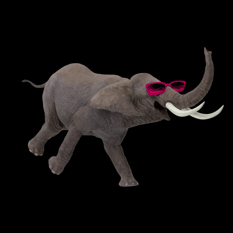 manadacriativa feliz elephant elefante criativa GIF