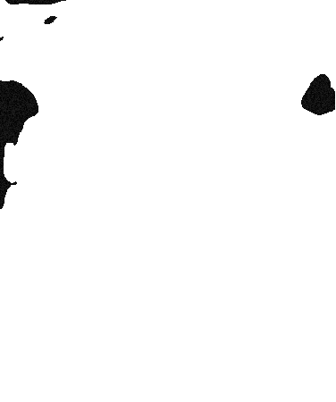 Tugym Sticker by TowsonGymnastics