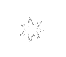 Star Sticker