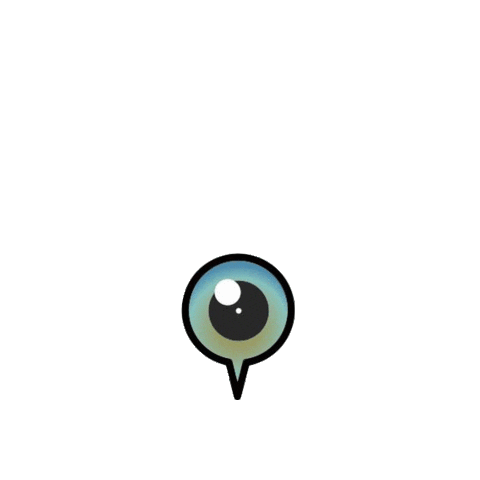panoramicams Sticker