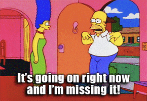 homer simpson fear of missing out GIF