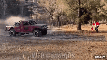 Roost GIF by WFO CONCEPTS