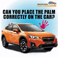 car challenge GIF by Mediacorp
