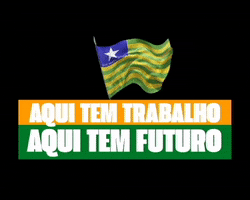 Trabalho Futuro GIF by Governo do Piauí