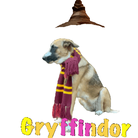 Harry Potter Sticker