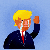 Donald Trump Goodbye GIF by Jef Caine