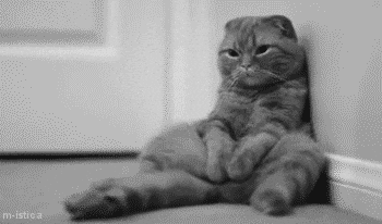 Giphy - Christmas Eve Waiting GIF