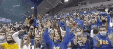 Volleyball Pittsburgh GIF by NCAA Championships