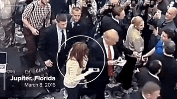 amandawills  GIF