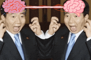 Brain 노무현 GIF