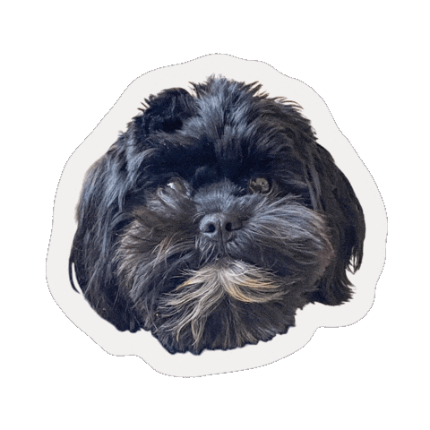 Milo Rescue Dog Sticker