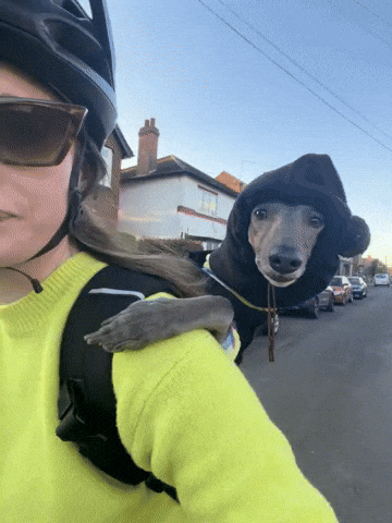 Bike GIF