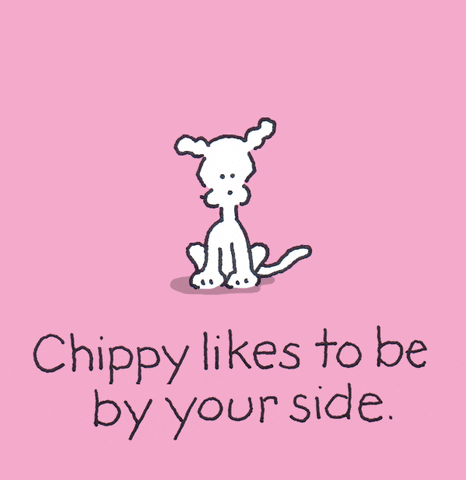 By Your Side Love GIF by Chippy the Dog