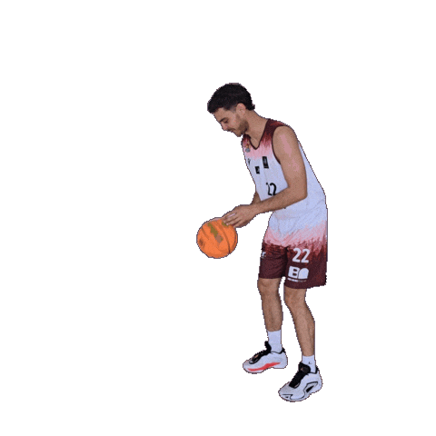 Basketball Winasone Sticker by Iserlohn Kangaroos