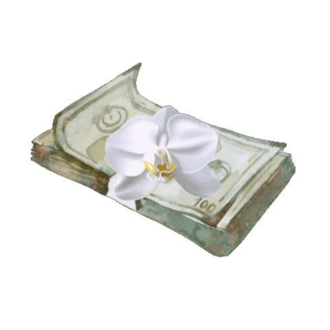 Vivirbonito Sticker by QUO VADIS BLOGS