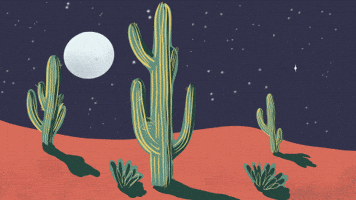 Cactus GIF