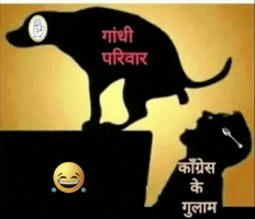 Indian National Congress GIF