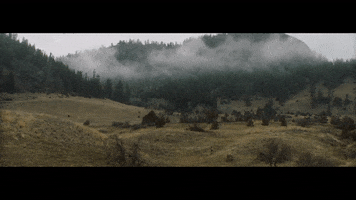 Film Landscape GIF by Signature Entertainment