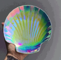 iridescent seashell GIF