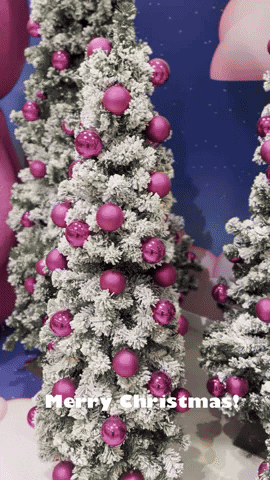 Merry Christmas GIF by Casol