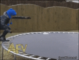 Trampoline GIFs - Find & Share on GIPHY