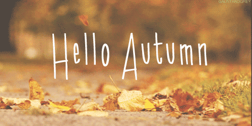 seasonal fall GIF