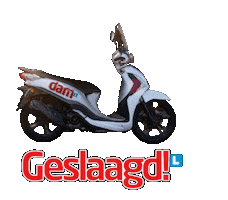 Geslaagd Sticker by Rijschool Dam
