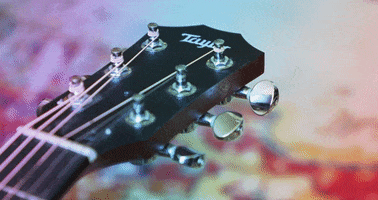TRUMANVISUALS photography guitar taylor strings GIF