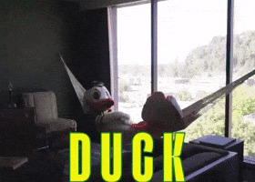 Oregon Football GIF