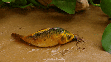 Stop Motion Swimming GIF by CreativeCooking