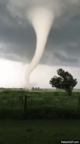 Image result for tornado gif