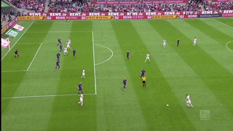 Simon Terodde Celebration GIF by 1. FC Köln - Find & Share ...