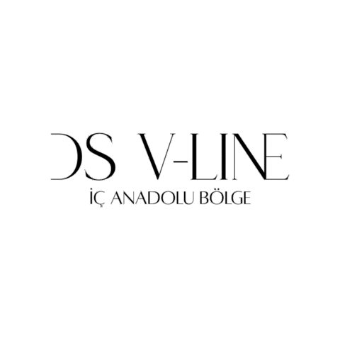 Dsvline İç Anadolu Sticker